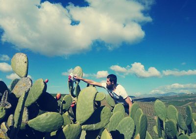 Paweł Durakiewicz zrywający owoce kaktusa na ternie ośrodka leczenia uzależnień